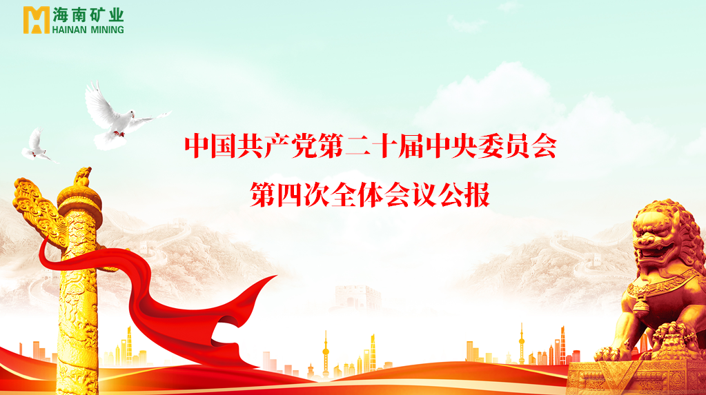 3377体育官网党委学习贯彻党的二十届四中全会精神